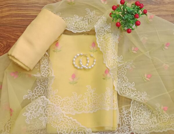 Organza Fabric Suit Set